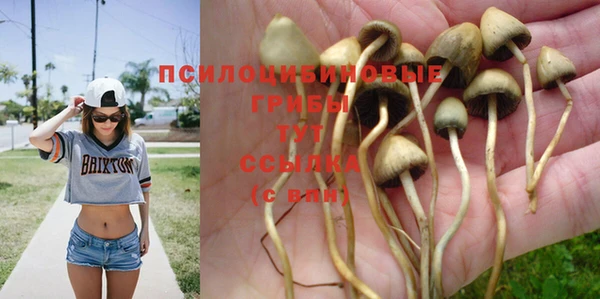 гашиш Абинск
